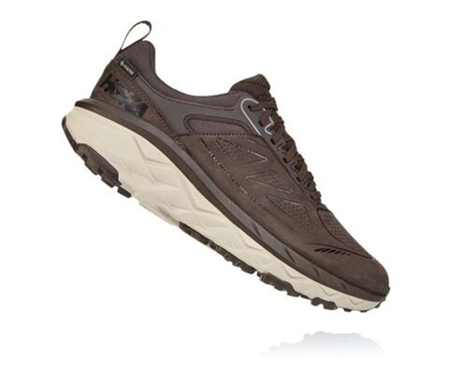 Hoka One One Trail Schoenen Heren - Challenger Laag Gore-Tex - Bruin - YX0156487